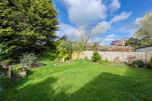 Photo 11- click for photo gallery